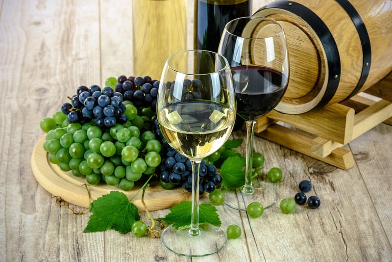 Wine Tasting and Vineyard Tours